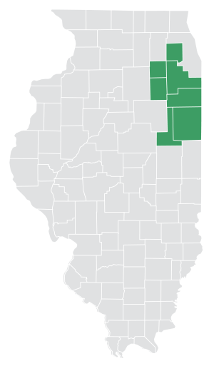State map of Diocese of Joliet