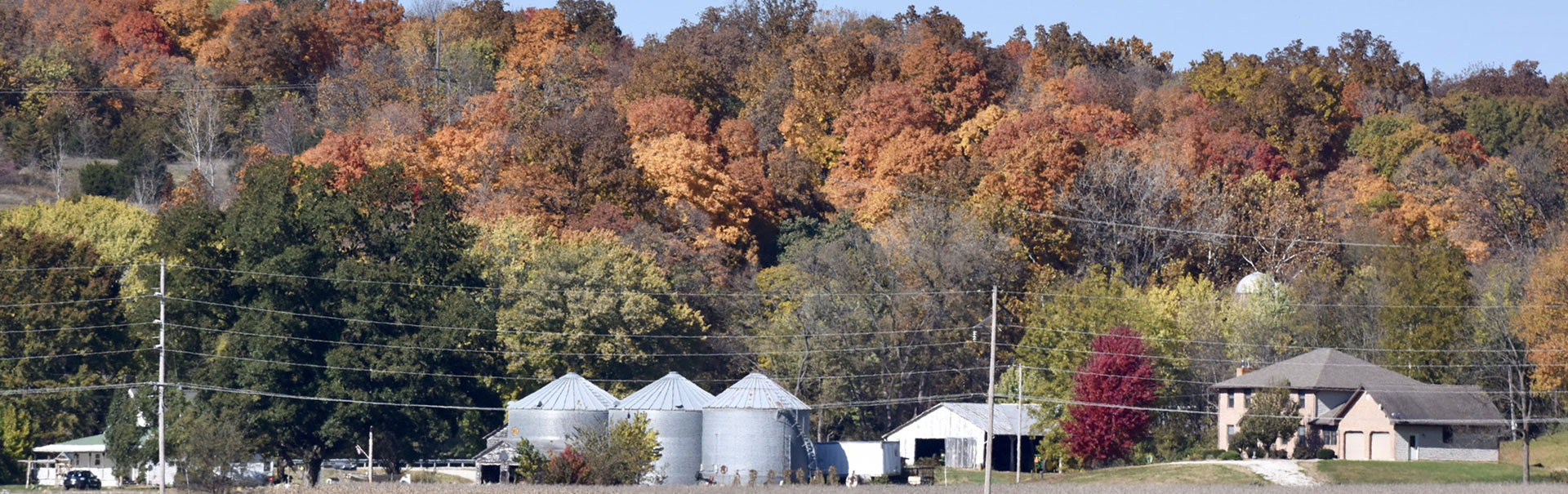 Fall foliage in the hills of Pike County, Illinois